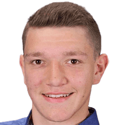 M. Manevski