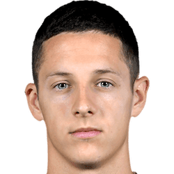 D. Bradarić