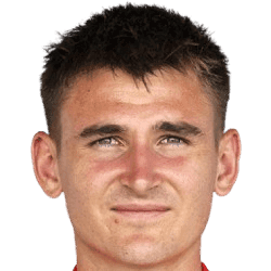 N. Polster