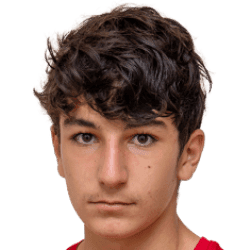 K. Hovhannisyan