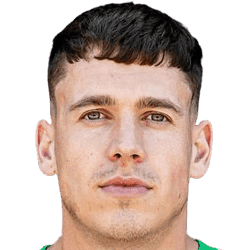 P. Sander