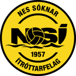 NSI logo