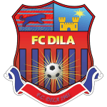 Dila Gori logo
