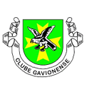 Gavionenses logo