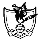 Dereham Town logo