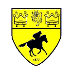 Newmarket Town logo