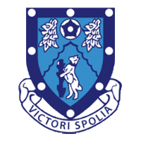 Rugby Town logo
