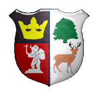 Cinderford Town logo