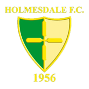 Holmesdale logo