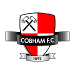 Cobham logo