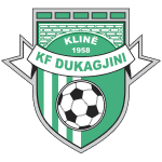 Dukagjini logo